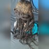 100% Handmade Braided Lace Wig - Long Cornrow Style, Natural Look, Comfort Fit"