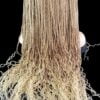 Braided Full Lace Wigs, 24" Knotless Braids Wig with Ghana Weave Blonde Wig NWT