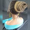 Handmade Braided Shuku Wig with Updo and Ponytail - NWT Ombre Wig, Long Wig