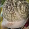 100% handmade, Braided wigs blond Wig NWT Ghana Weave absolutely gorgeous.